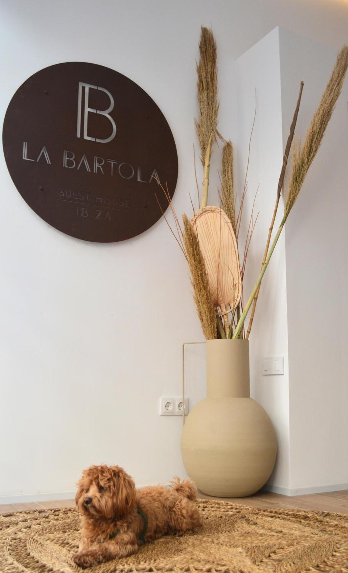 איביזה העיר La Bartola Guesthouse מראה חיצוני תמונה